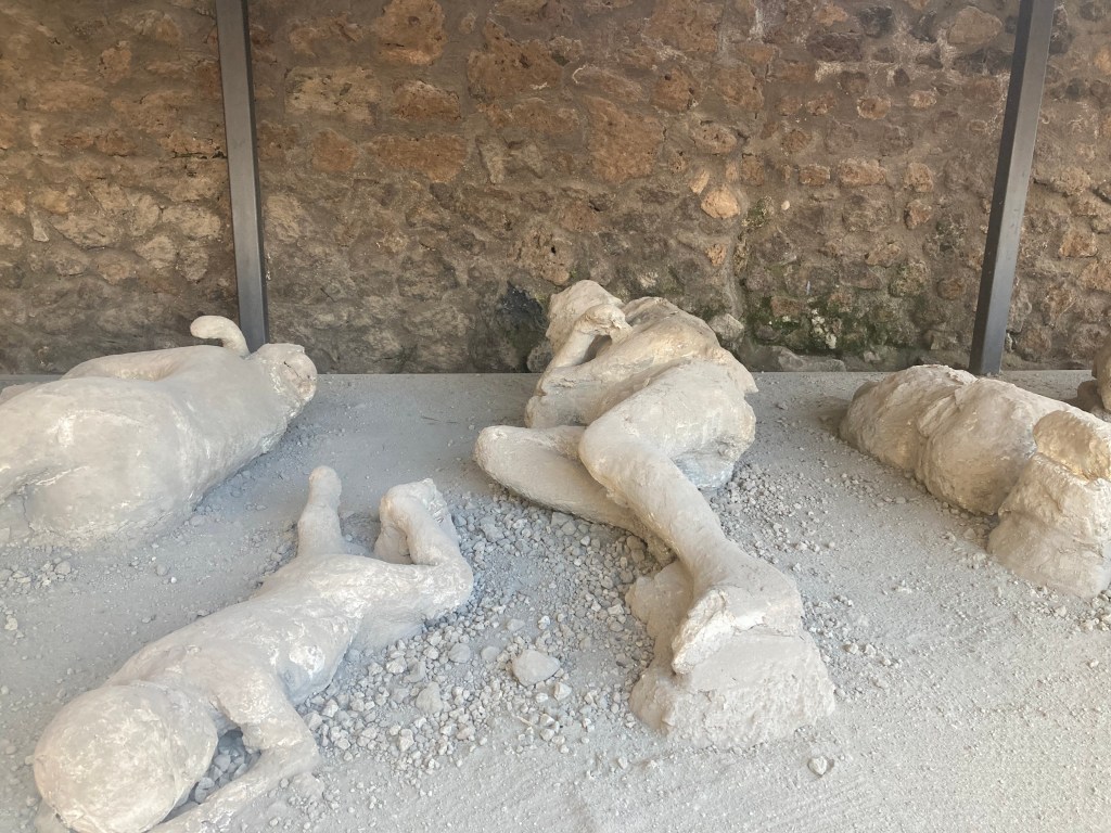 Pompeii: A Preamble to the Unearthed Tragedy